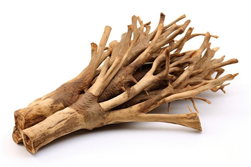 Ingredient: Ekstrakt z korzenia hakorośli